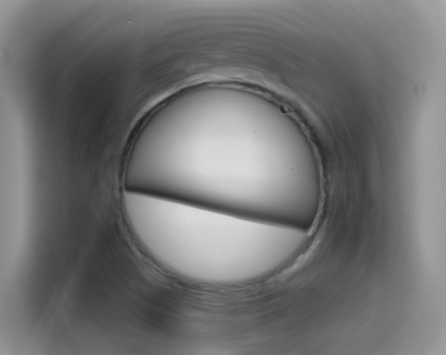 X0000114651505200910200950