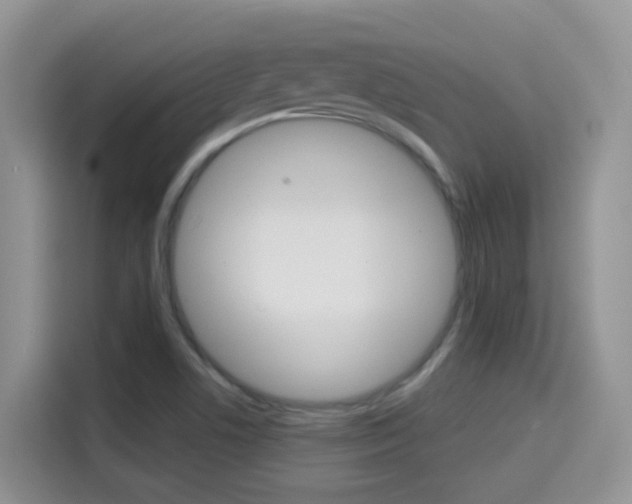 X0000114651506200910200950