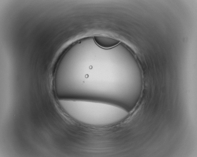 X0000114651507200910200950