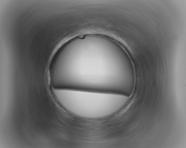 X0000114651509200910200950