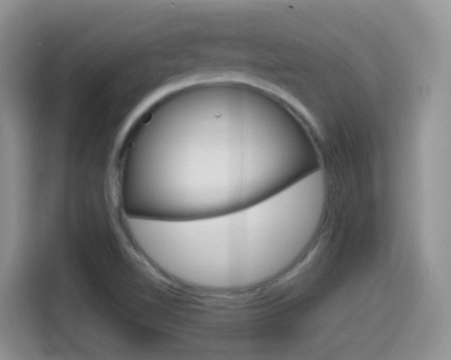 X0000114651510200910200950