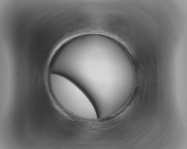 X0000114651511200910200950