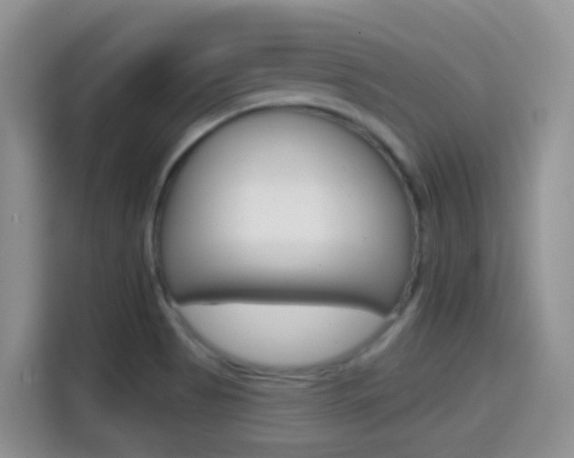 X0000114651513200910200950