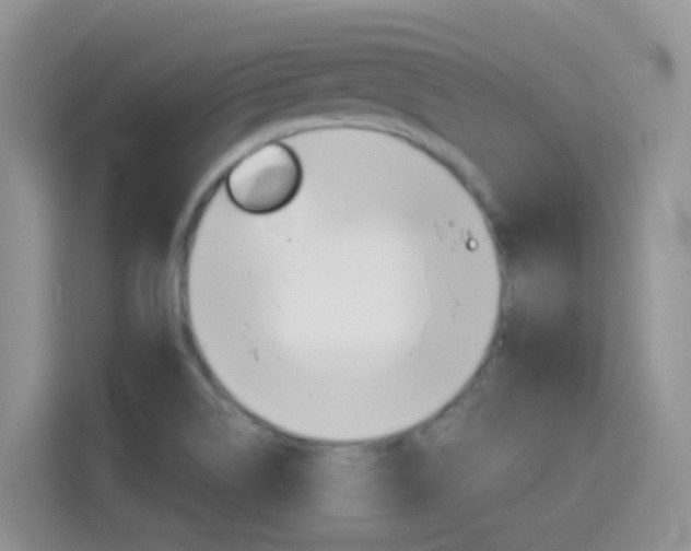 X0000114651514200910200950
