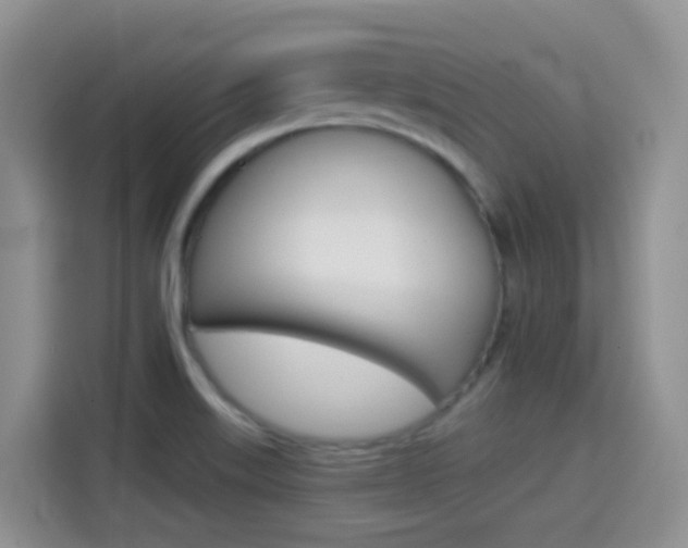 X0000114651515200910200950