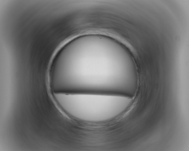 X0000114651517200910200950