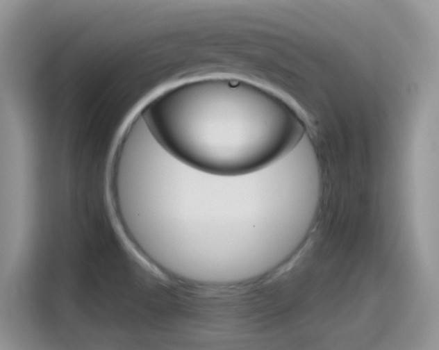 X0000114651518200910200950