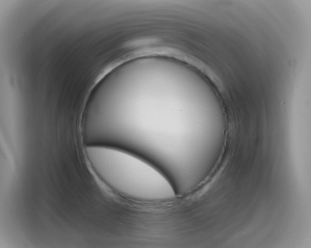 X0000114651521200910200950
