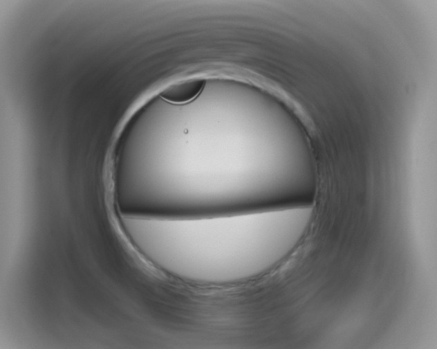 X0000114651522200910200950