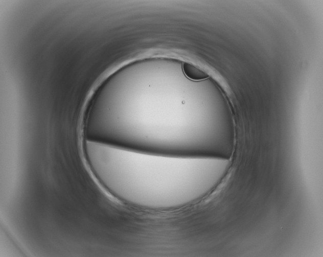 X0000114651525200910200950
