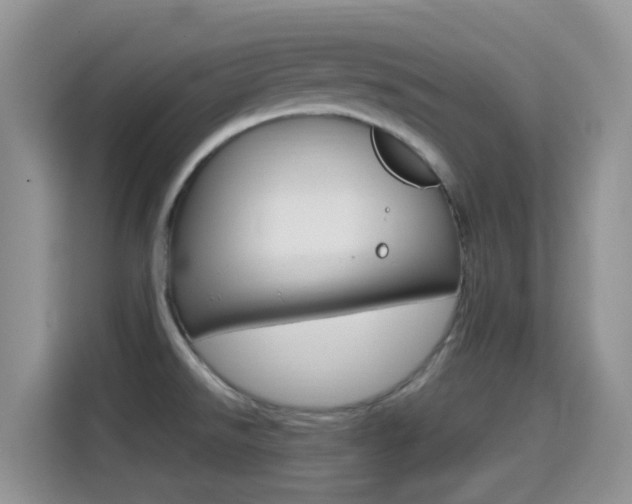 X0000114651526200910200950