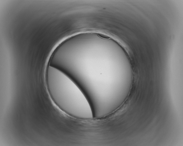 X0000114651527200910200950