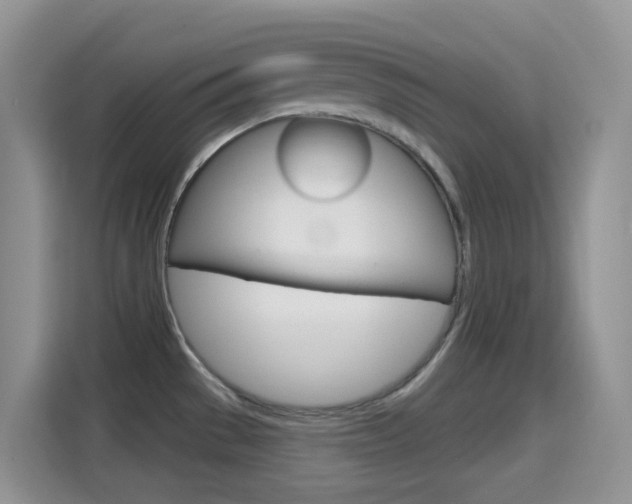 X0000114651529200910200950