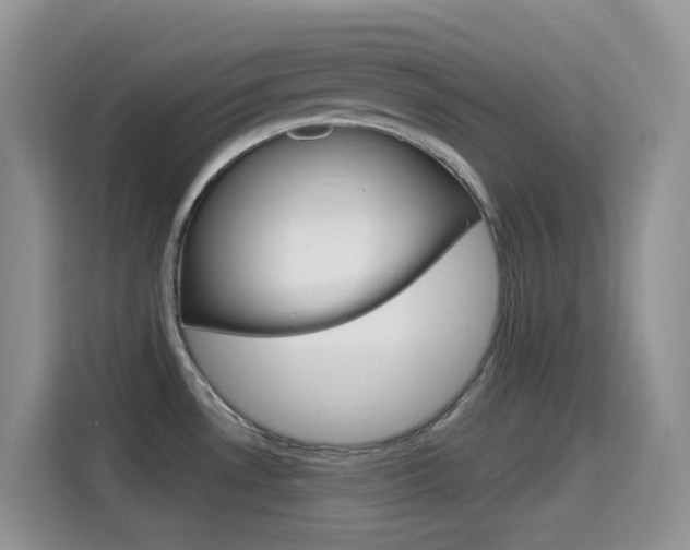 X0000114651530200910200950