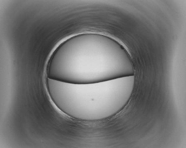 X0000114651531200910200950