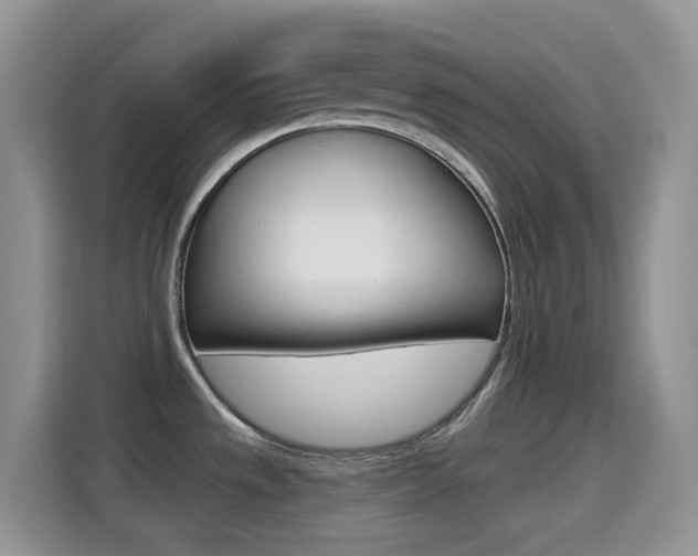 X0000114651533200910200951