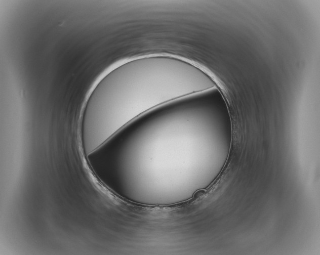 X0000114651534200910200951