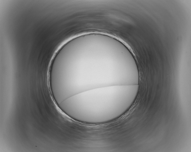 X0000114651535200910200951