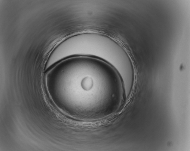 X0000114650001200910201519