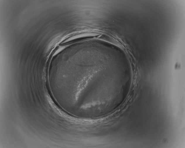 X0000114650002200910201519