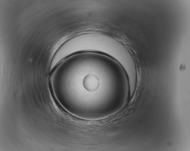 X0000114650003200910201519