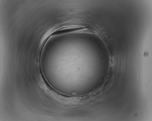 X0000114650004200910201519