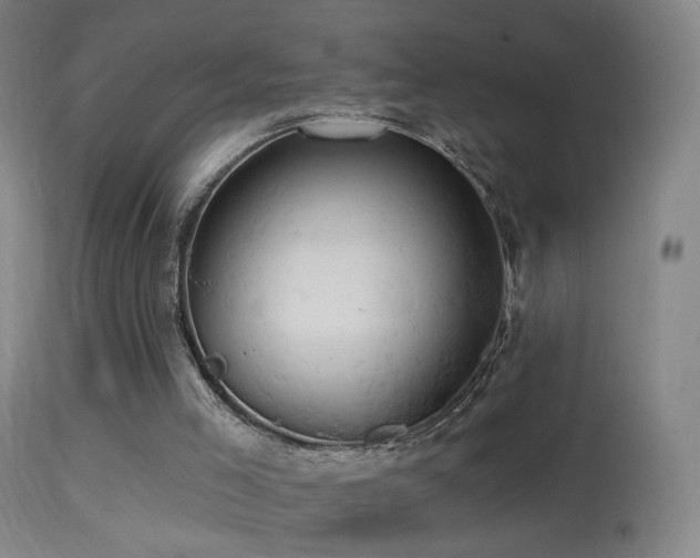 X0000114650005200910201519