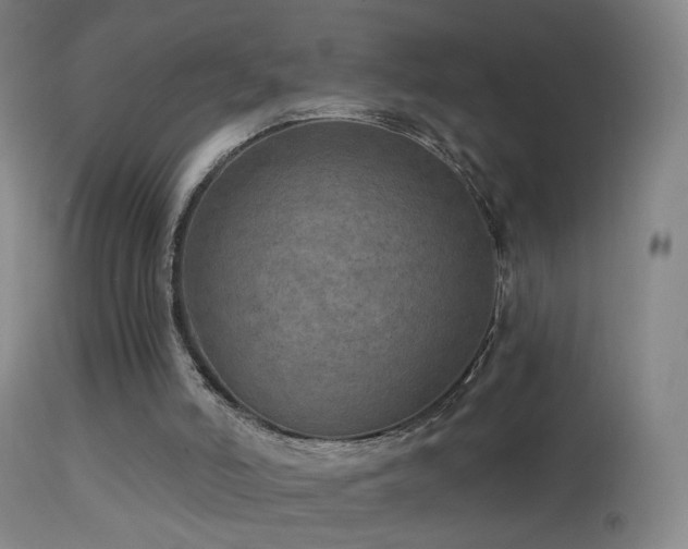 X0000114650006200910201519