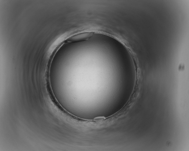 X0000114650007200910201519