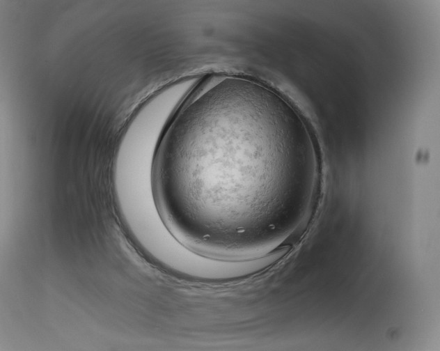 X0000114650009200910201519