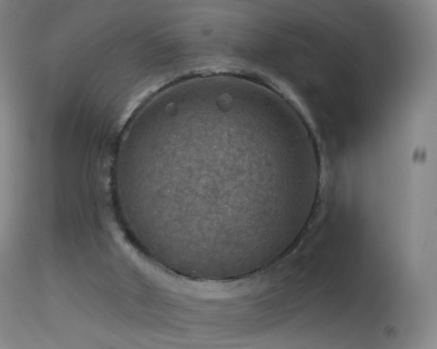 X0000114650010200910201519