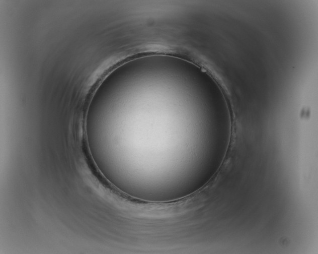 X0000114650011200910201519