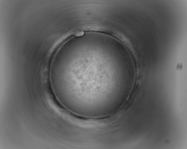 X0000114650012200910201518