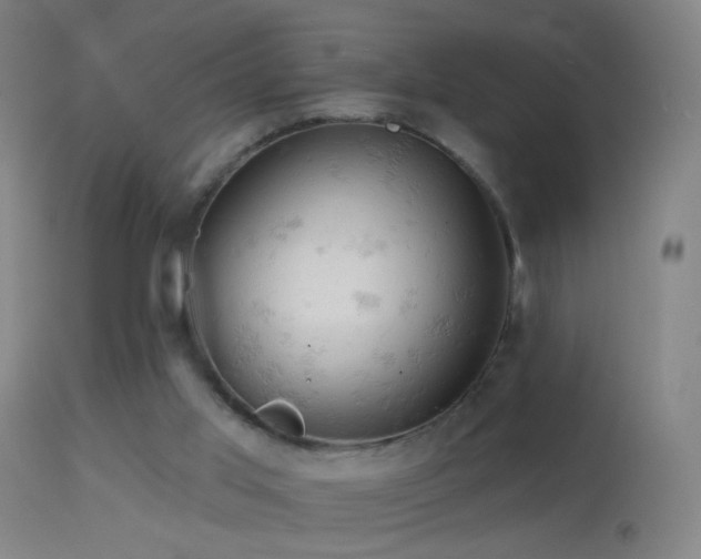 X0000114650013200910201518