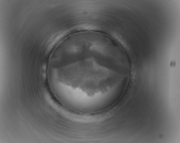 X0000114650014200910201518