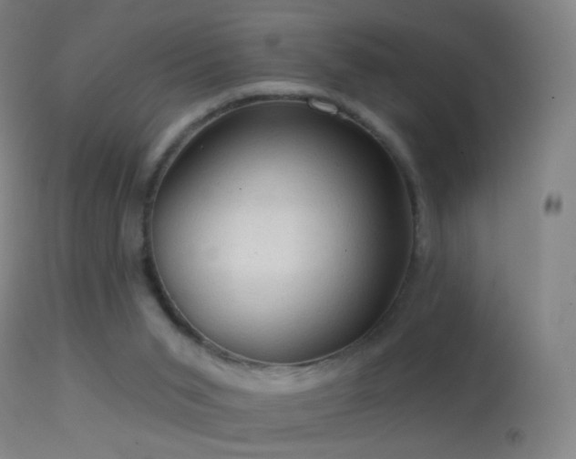 X0000114650015200910201518