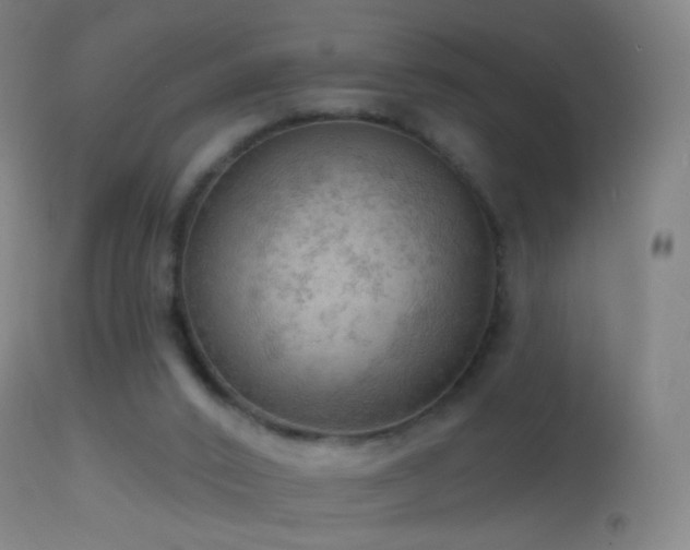 X0000114650016200910201518