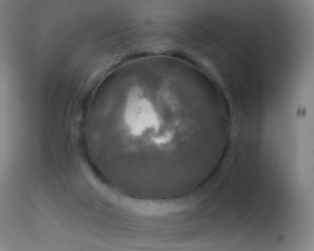 X0000114650018200910201518