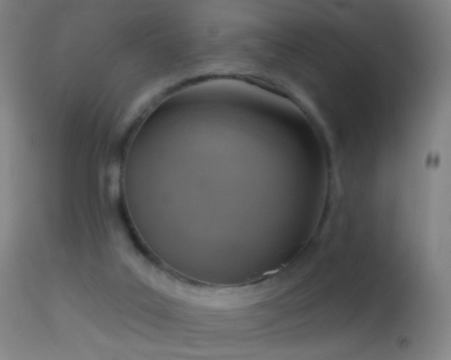 X0000114650019200910201518