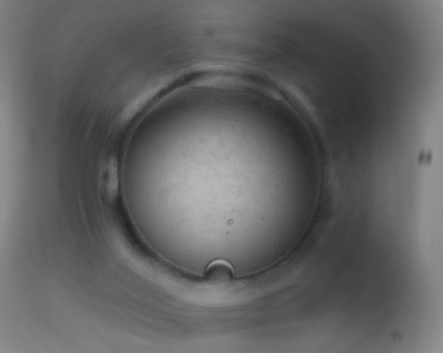 X0000114650020200910201518