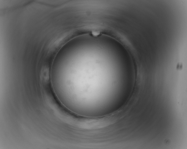 X0000114650021200910201518