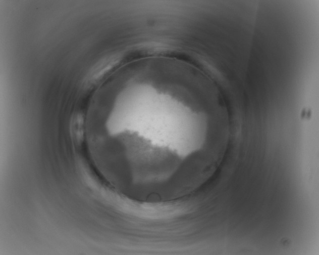 X0000114650022200910201518