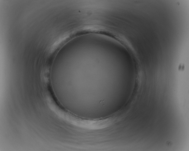 X0000114650023200910201518