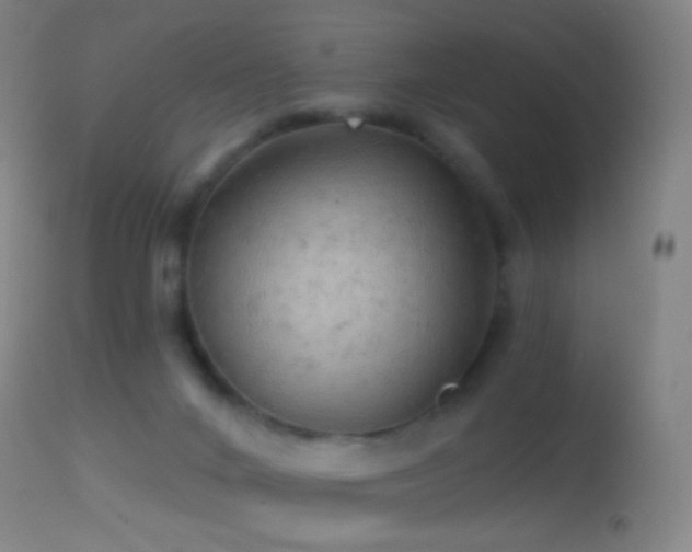 X0000114650024200910201518