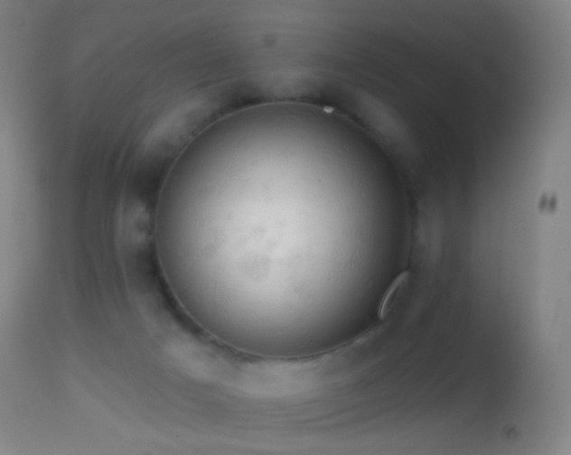 X0000114650025200910201518