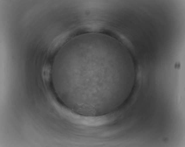 X0000114650026200910201518