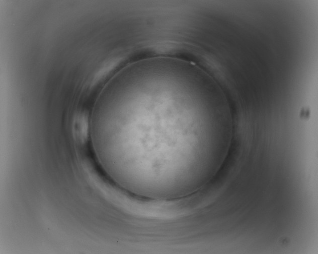 X0000114650028200910201518