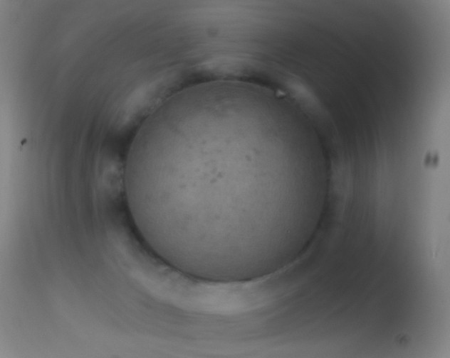 X0000114650029200910201518