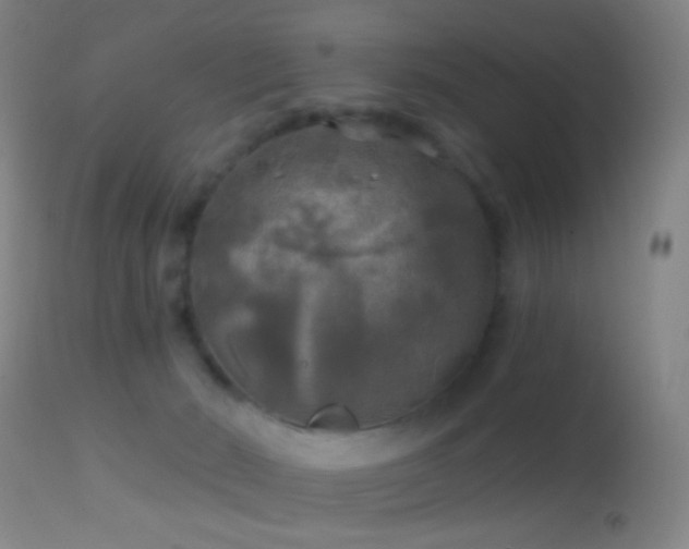 X0000114650030200910201518