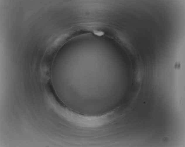 X0000114650031200910201518